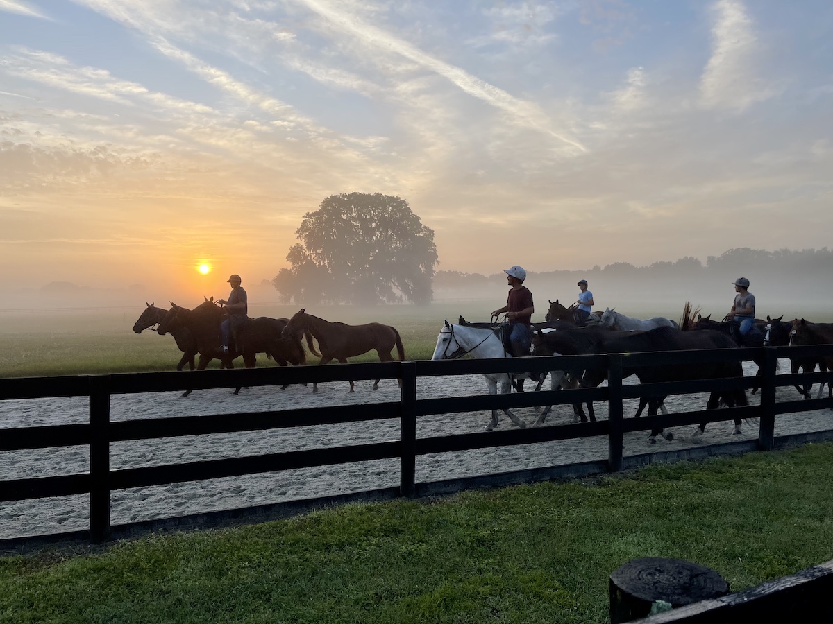 Beautiful Sunrise At The Polo Fields In The Villages