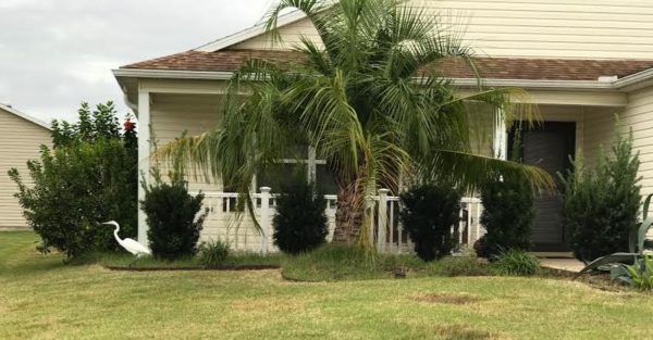The utilities have been shut off at this home at 3485 Boardroom Trail in the Village of La Belle North The utilities have been shut off at this home at 3485 Boardroom Trail in the Village of La Belle North