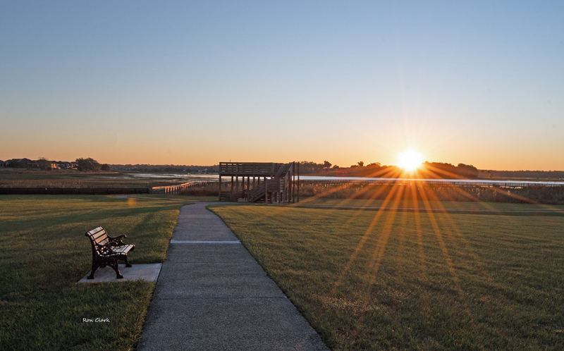 Beautiful Sunrise At Sharon Rose Wiechens Nature Preserve