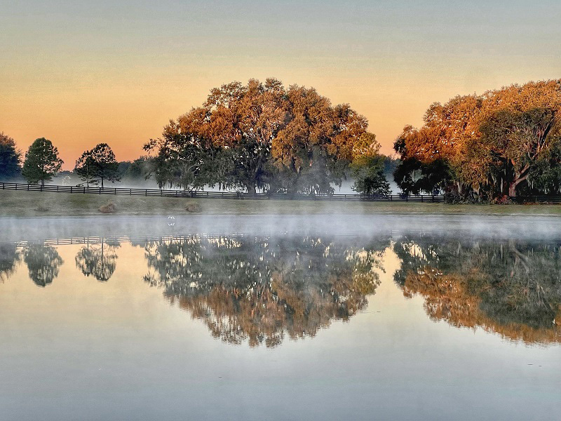 Sunrise At Buena Vista Boulevard And Bailey Trail In The Villages