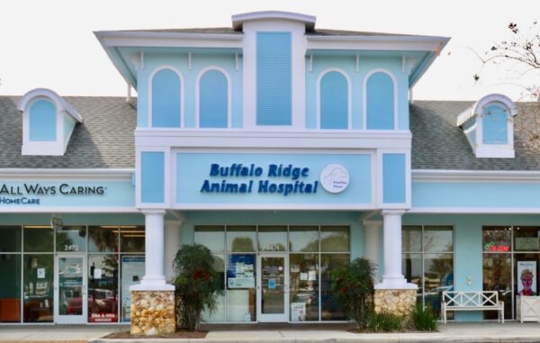 Buffalo Ridge Animal Hospital at Pinellas Plaza