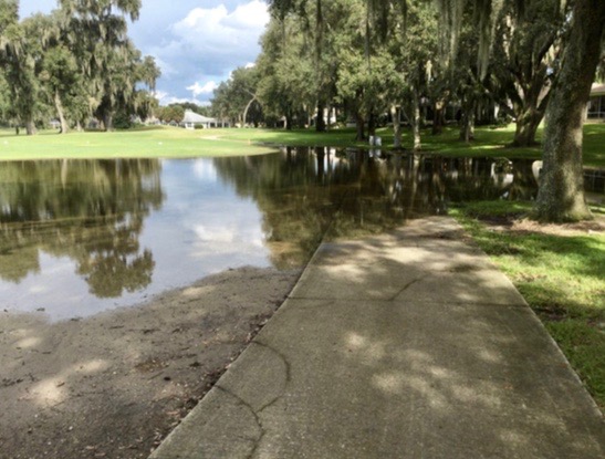 An area of the Heron Executive Golf Course continues to flood