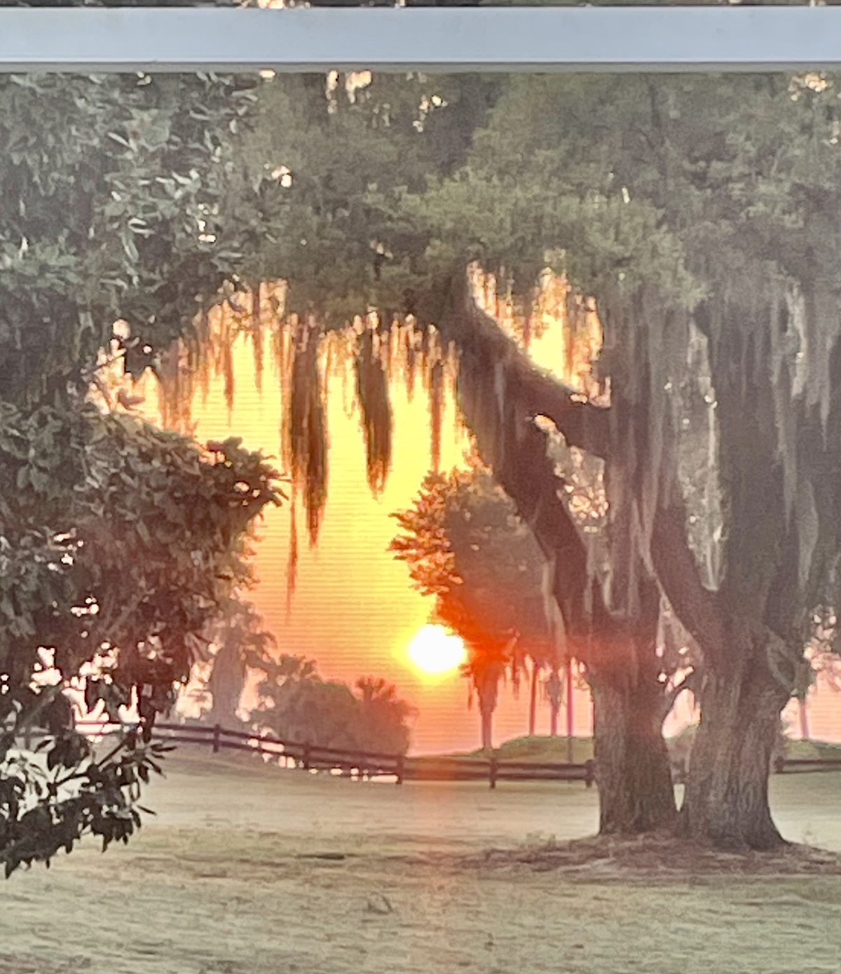 Beautiful Sunrise On Kilimanjaro Course At Havana Country Club In The Villages
