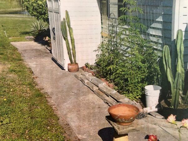 This sidewalk has been in placed for more than two decades at Mary Conrads home in The Villages This sidewalk has been in placed for more than two decades at Mary Conrads home in The Villages
