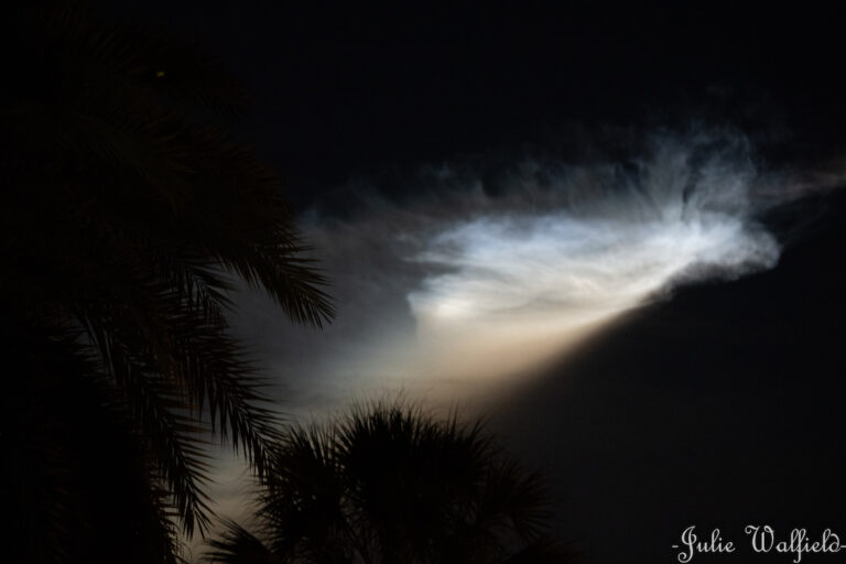 Friday's SpaceX Launch As Seen In The Villages