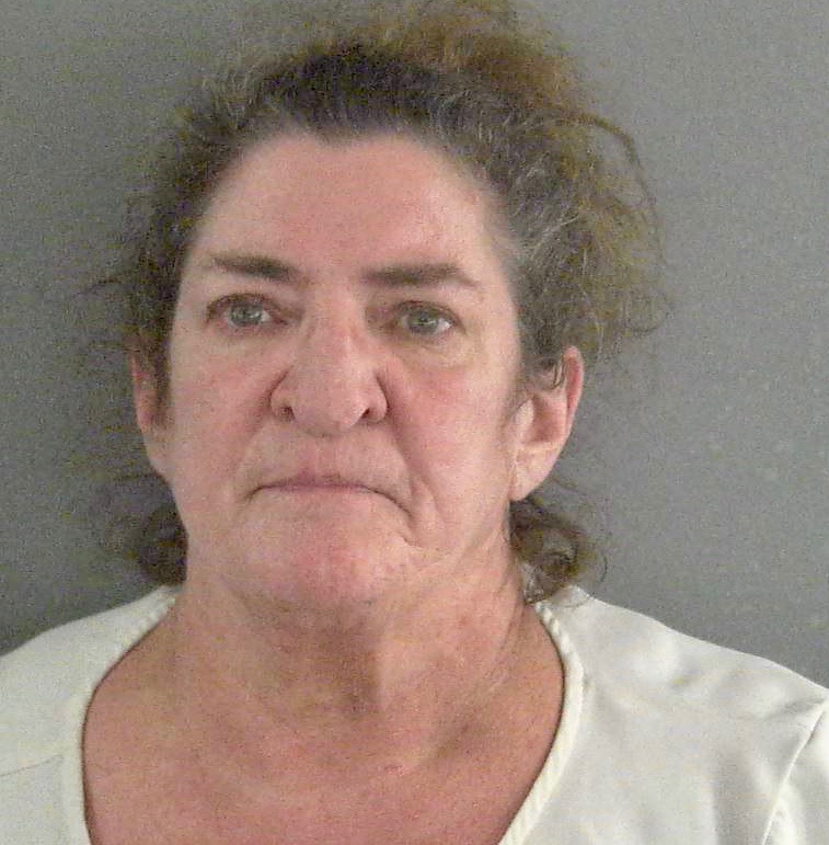 woman-who-tried-to-outrun-fhp-on-i-75-back-in-jail-after-failure-to-pay