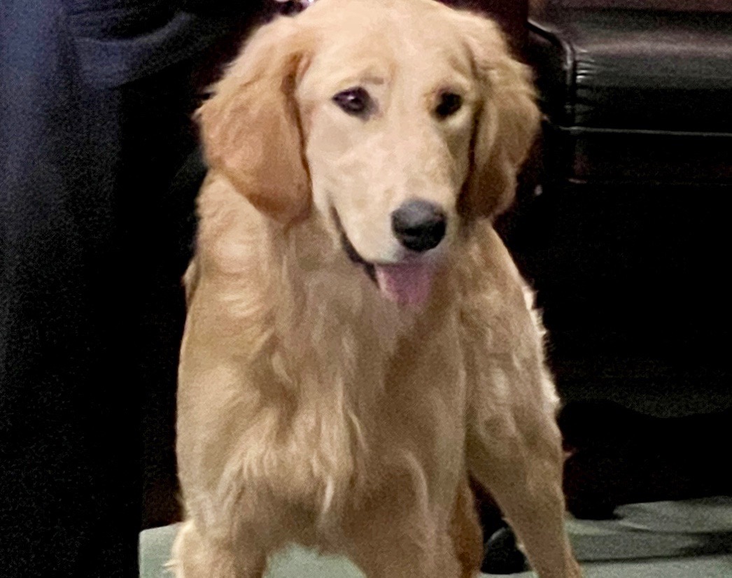 K 9 Fast of the Lady Lake Police Department