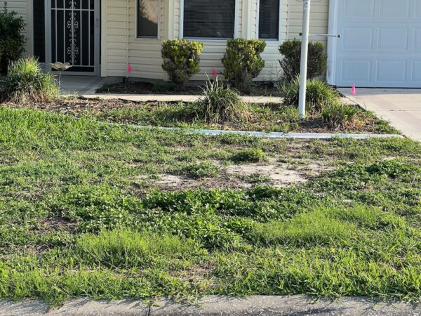 There are patches of dead grass in the lawn at 2082 Palo Alto Ave.