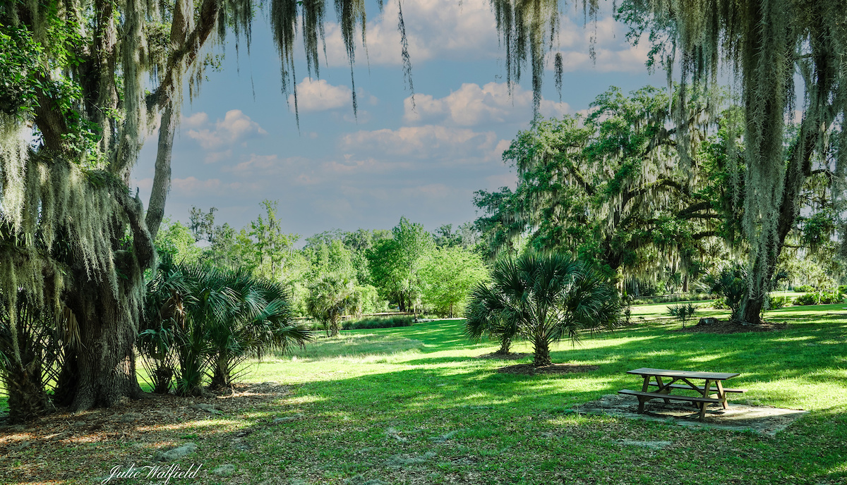 Beautiful Picnic Area Next To Fenney Nature Trail In The Villages