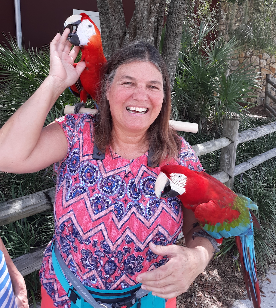 Sherry Albert with her parots at the Brownwood craft show