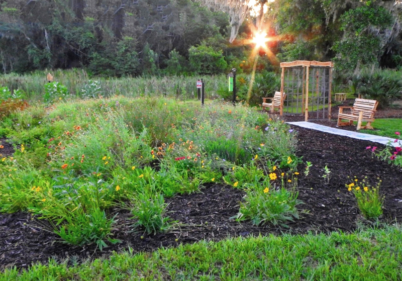Sunrise Over Butterfly Garden At The Lake Deaton United Methodist Church