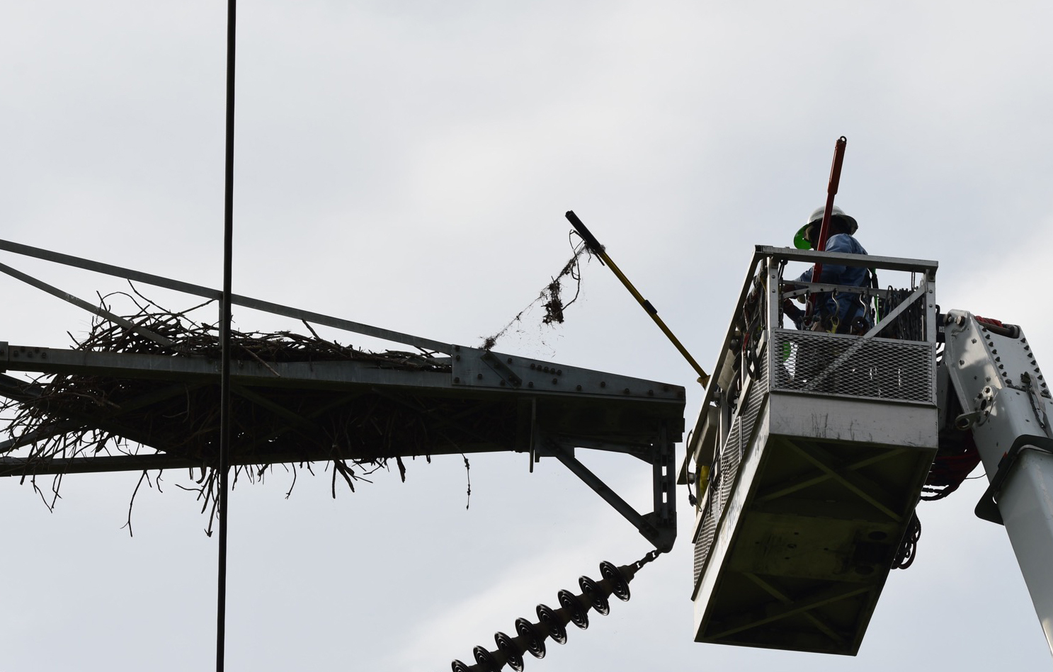 Duke Energy workers picked out pieces of plastic mesh from the nest.