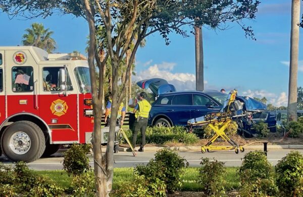 A driver was injured after crashing into a palm tree on Buena Vista Boulevard