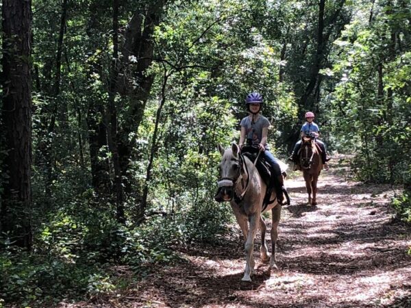 Camp Wildwood established in 1960 is the the only equestrian Girl Scout camp in Florida Camp Wildwood established in 1960 is the the only equestrian Girl Scout camp in Florida