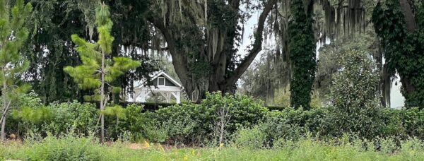 The Tamarind Grove recreation area is visible from teh non resident side of construction fence.