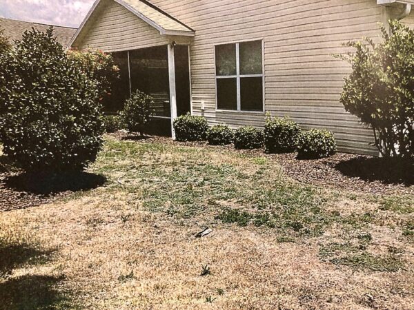 The condition of the lawn at 716 Eastbourne Lane in the Village of Charlotte was the subject of a public hearing