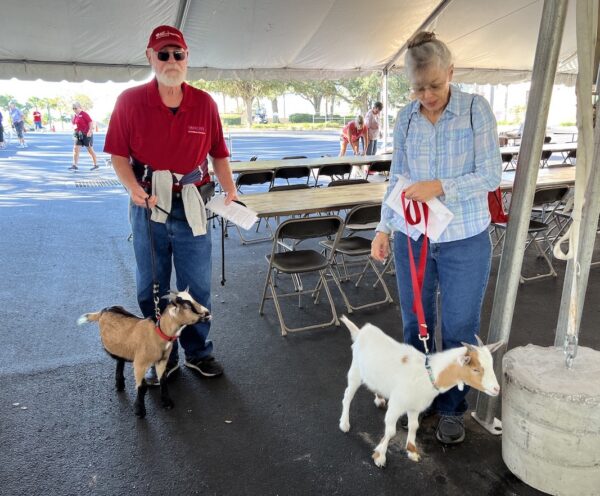 Steve and Tincey German brought two goats to the service one of which was born with only three legs Steve and Tincey German brought two goats to the service one of which was born with only three legs