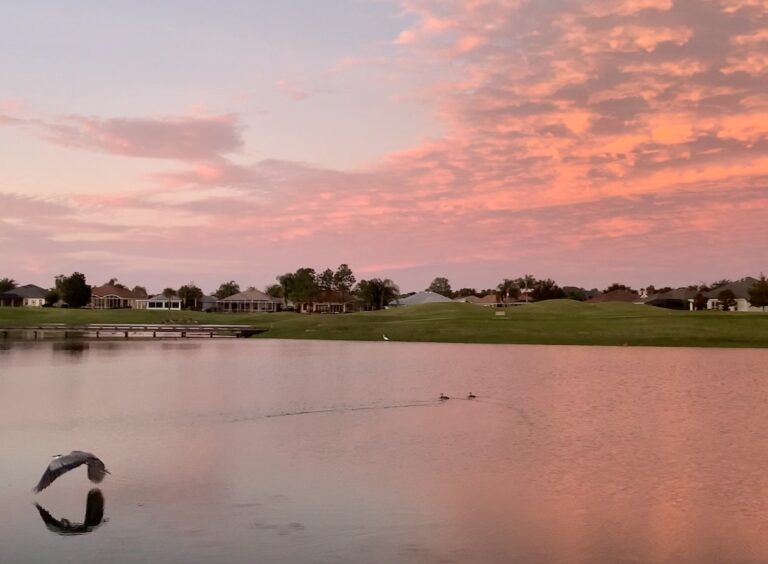 Beautiful Sunset At Bogart Executive Golf Course In The Villages