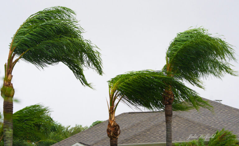 High Winds In The Villages From Tropical Storm Nicole