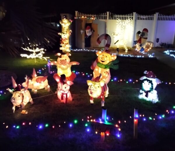 Pigs are ready for the holidays in the Village of Dunedin