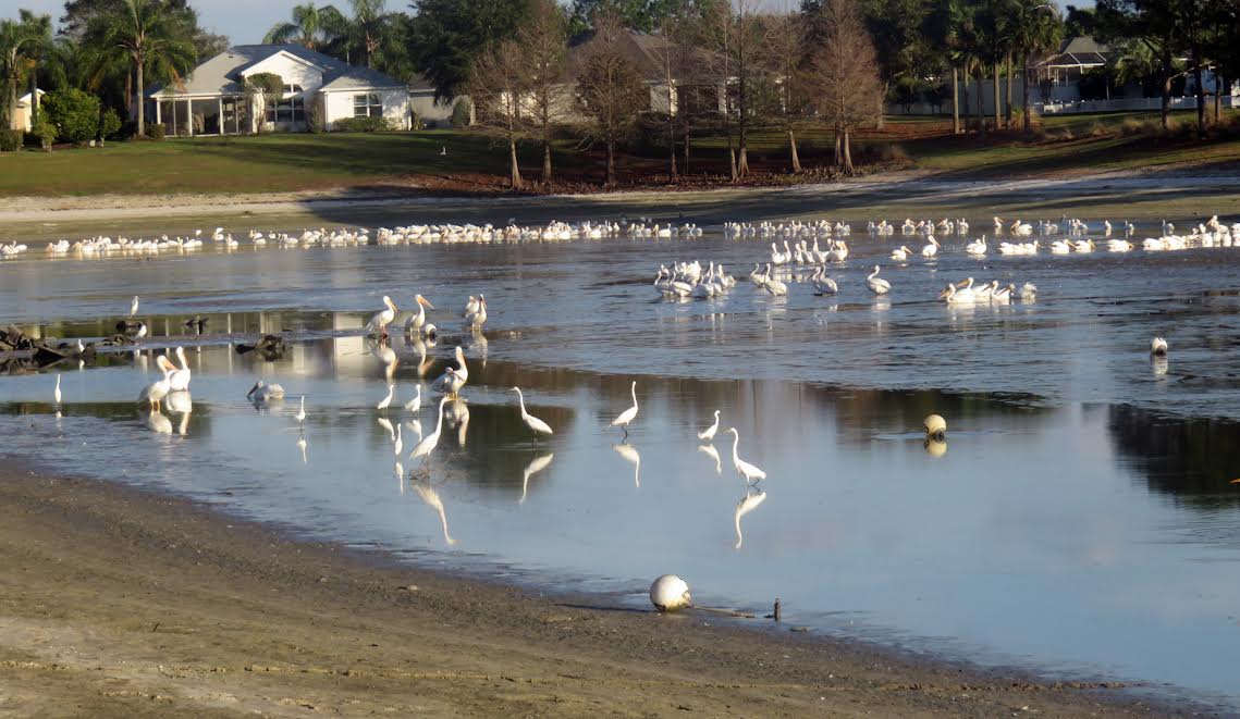 Ashland Pond featured