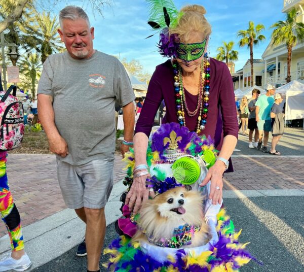 Villagaer Kathleen Jennings had her dogs stroller decorated like a float Villagaer Kathleen Jennings had her dogs stroller decorated like a float