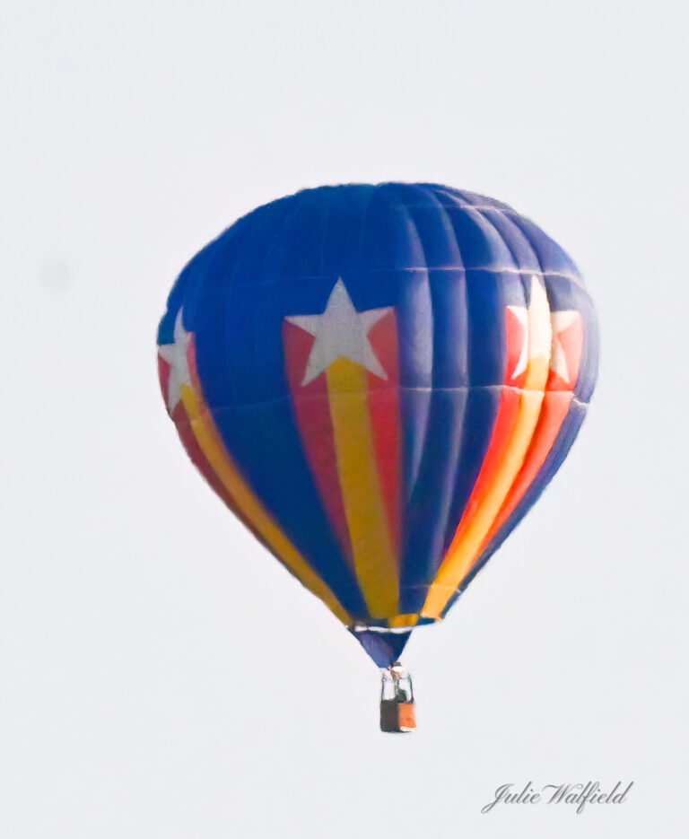 Hot Air Balloon Visits The Villages