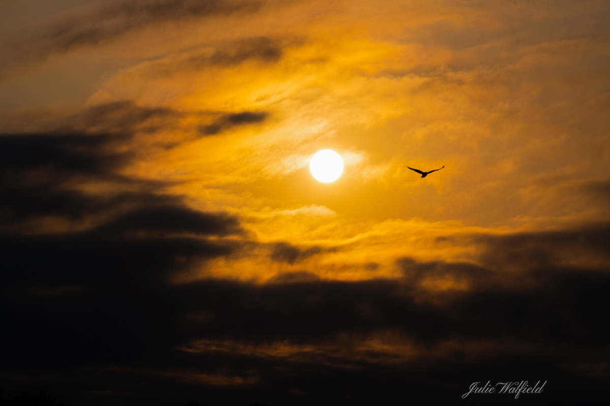 Cloudy morning sky in The Villages