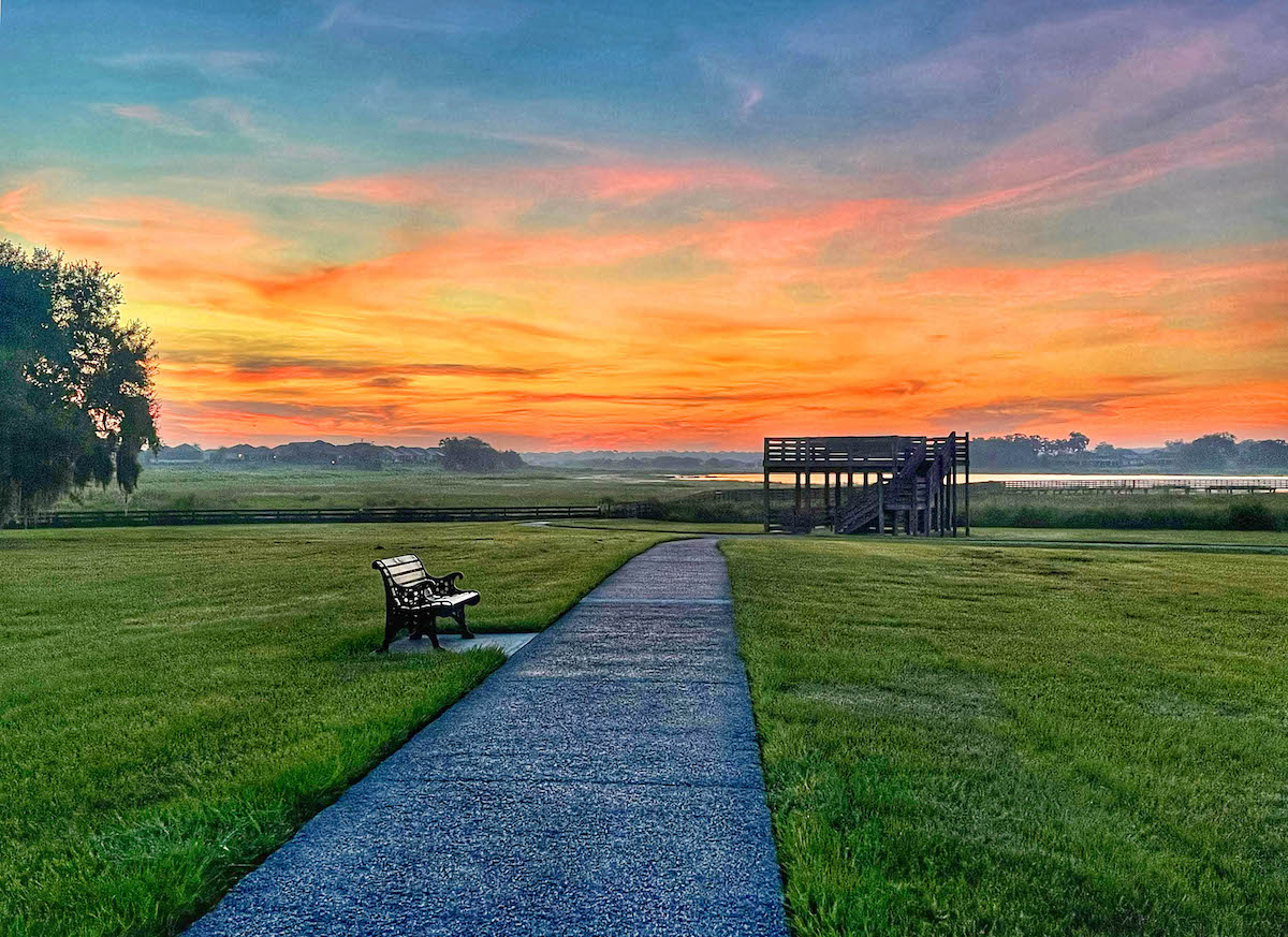 Sunrise at Sharon Rose Wiechens Preserve