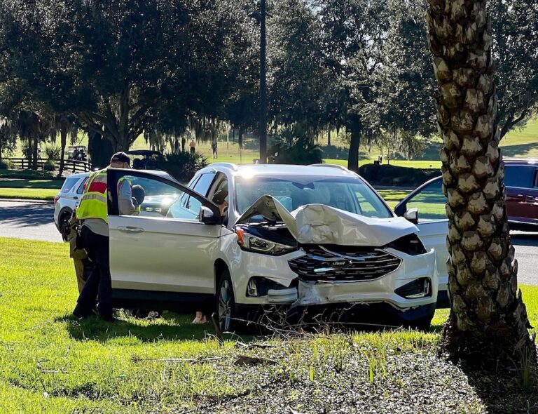 A driver ran off the road and hit a palm tree Sunday morning on County Road 466A