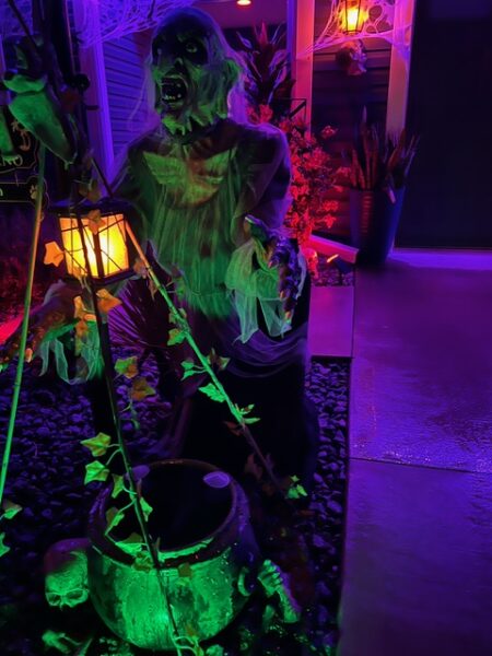 Check out this Halloween display at 346 Jameson Loop in the Village oF Citrus Grove