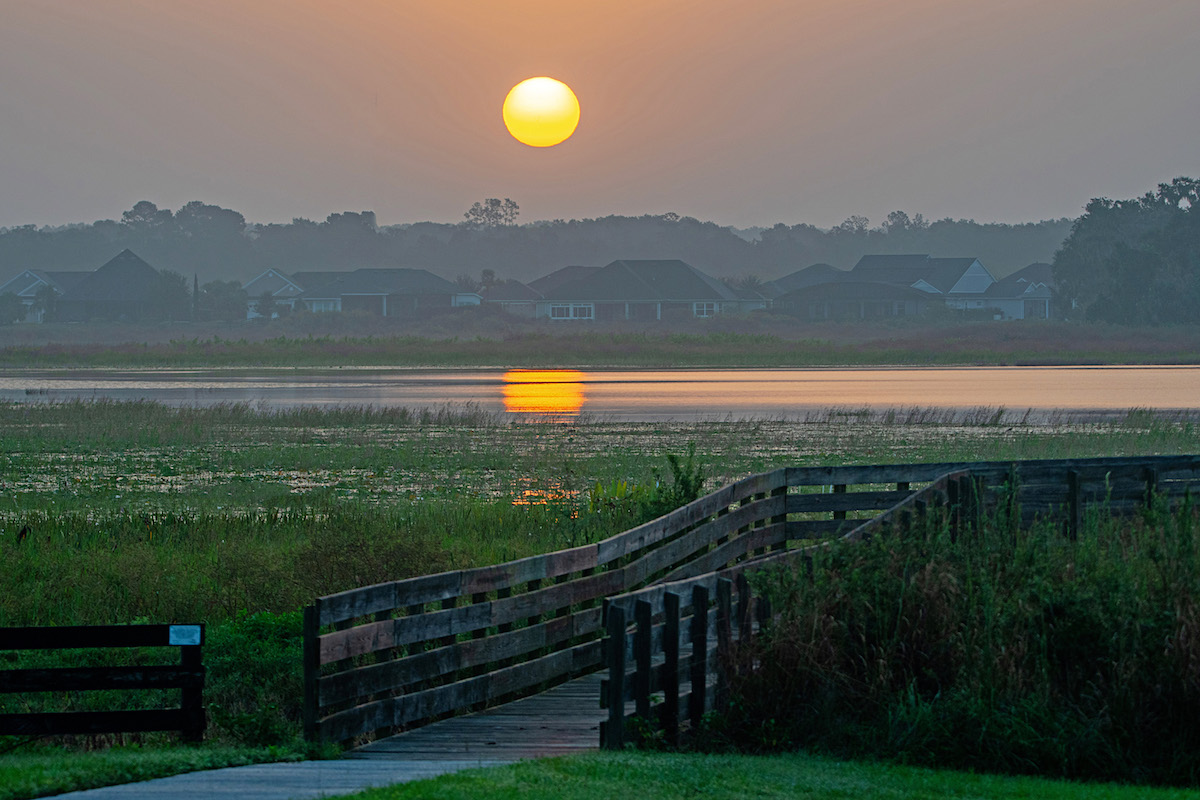Smoky sunrise at Sharon Rose Wiechens Preserve Smoky sunrise at Sharon Rose Wiechens Preserve