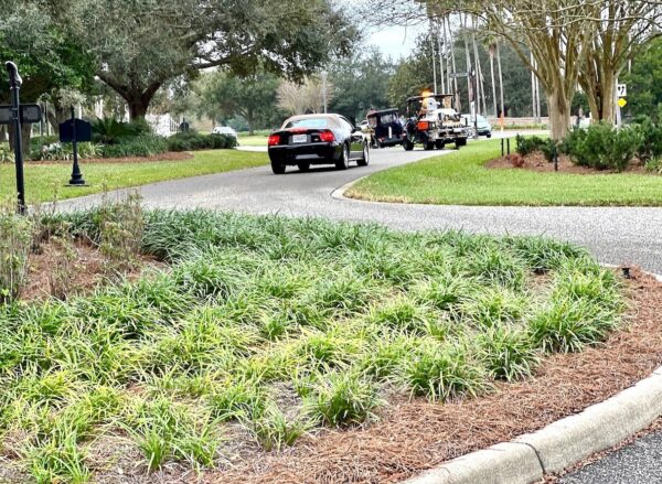 A woman in a Ford Mustang convertible drove onto the golf cart path and aroud the roundabout. A woman in a Ford Mustang convertible drove onto the golf cart path and aroud the roundabout.