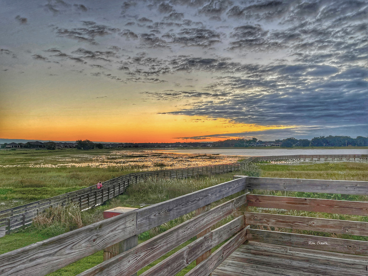Beautiful sunrise at Sharon Rose Wiechens Preserve