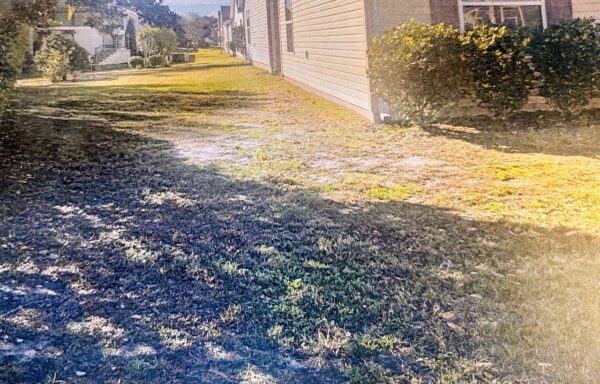 A complaint was received Oct. 31 about the dead grass at 1715 Galahad Terrace in the Mangrove Villas 2 A complaint was received Oct. 31 about the dead grass at 1715 Galahad Terrace in the Mangrove Villas 2