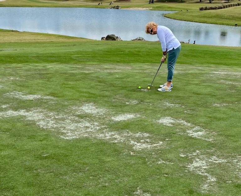 A golfer at the Tarpon Boil Executive Golf Course