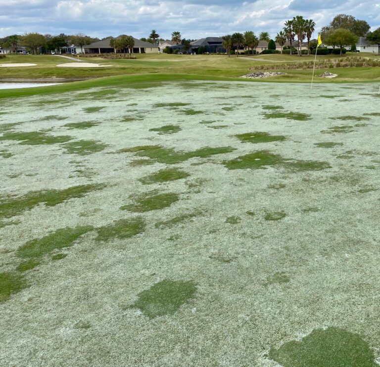 A resident has been critical of the condition at the Tarpon Boil Executive Golf Course
