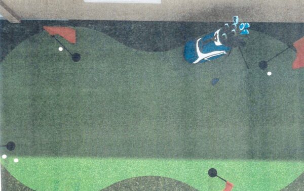 Linda Giardino's application for the putting green included this diagram