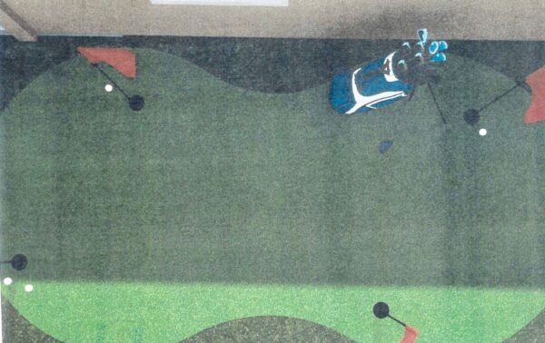 Linda Giardino's application for the putting green included this diagram Linda Giardino's application for the putting green included this diagram