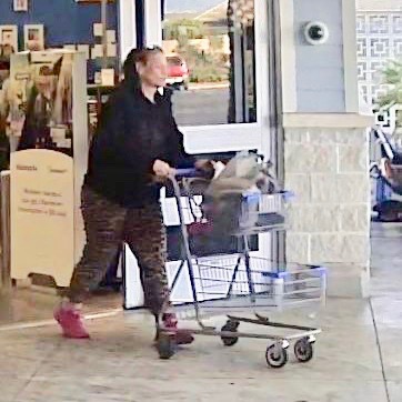 The woman conducted a skip scan theft at Walmart at Sarasota Plaz