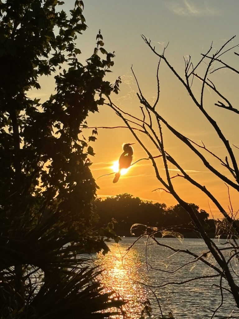 Beautiful sunset at Lake Sumter