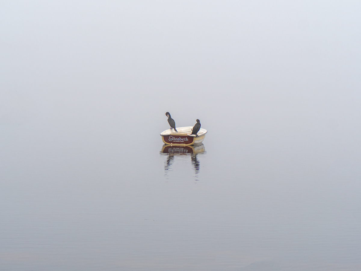 Foggy morning at Lake Sumter Landing
