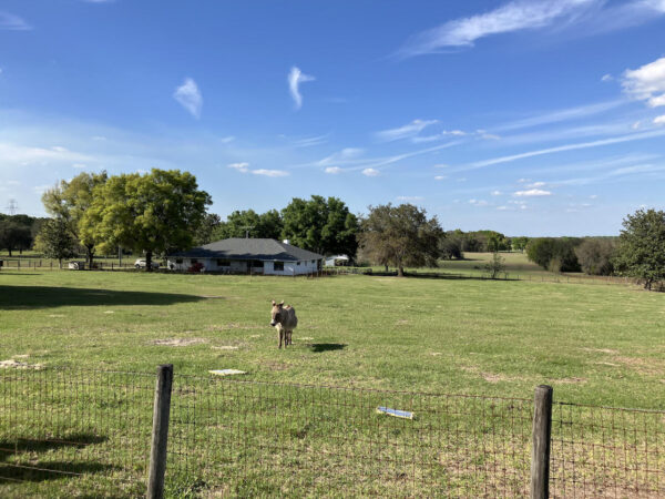 The Caudill property is located off Lake Ella Road