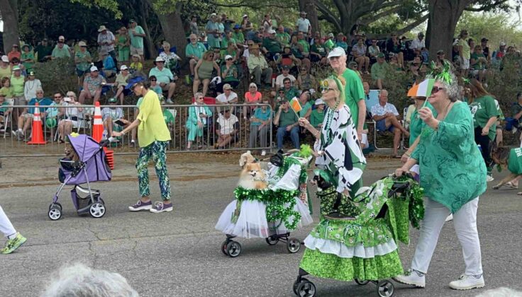 Villagers and their dogs in the 2024 St. Patrick's Day Festival in The Villages