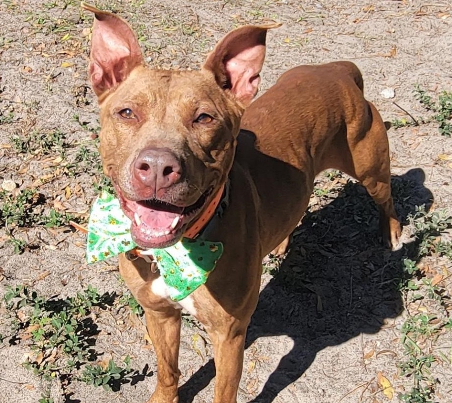 Anna has a big smile and a new home
