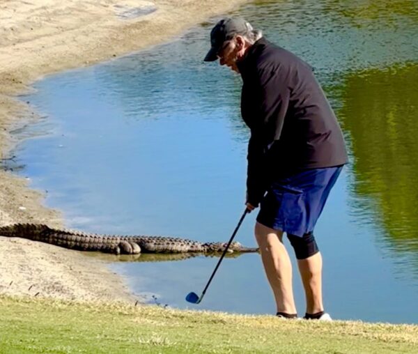 Larry Fleming kept his cool even though an alligator was nearby