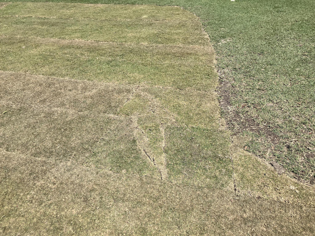 Newly renovated golf course already looks terrible