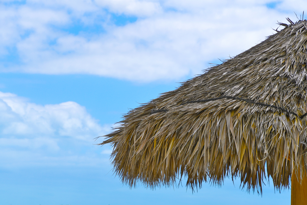 Tiki hut