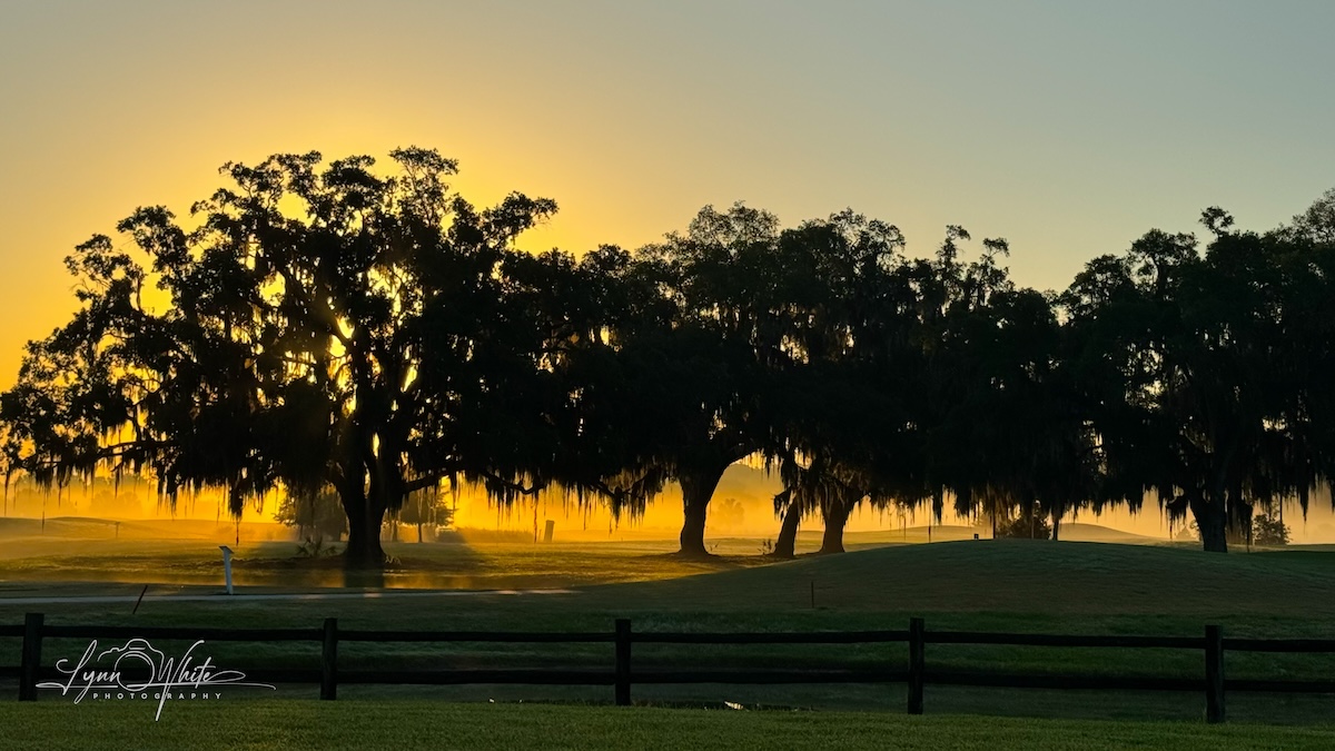 Beautiful sunrise in the Village of Marsh Bend Beautiful sunrise in the Village of Marsh Bend