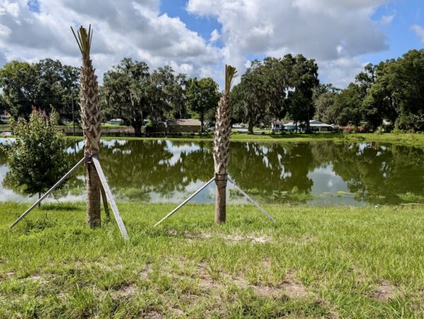 A retention pond at the new Home Depot has become a concern. A retention ponid at the new Home Depot has become a concern